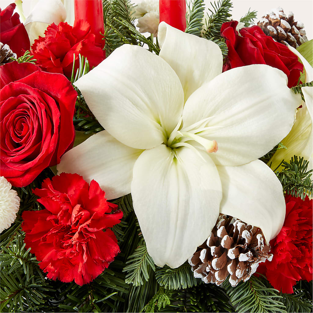 Seasonal Festivities Centerpiece – CLARKSON FLOWERS & GIFTS, Mississauga ON