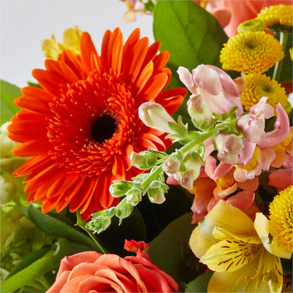Autumn Sunshine Bouquet – CLARKSON FLOWERS & GIFTS, Mississauga ON