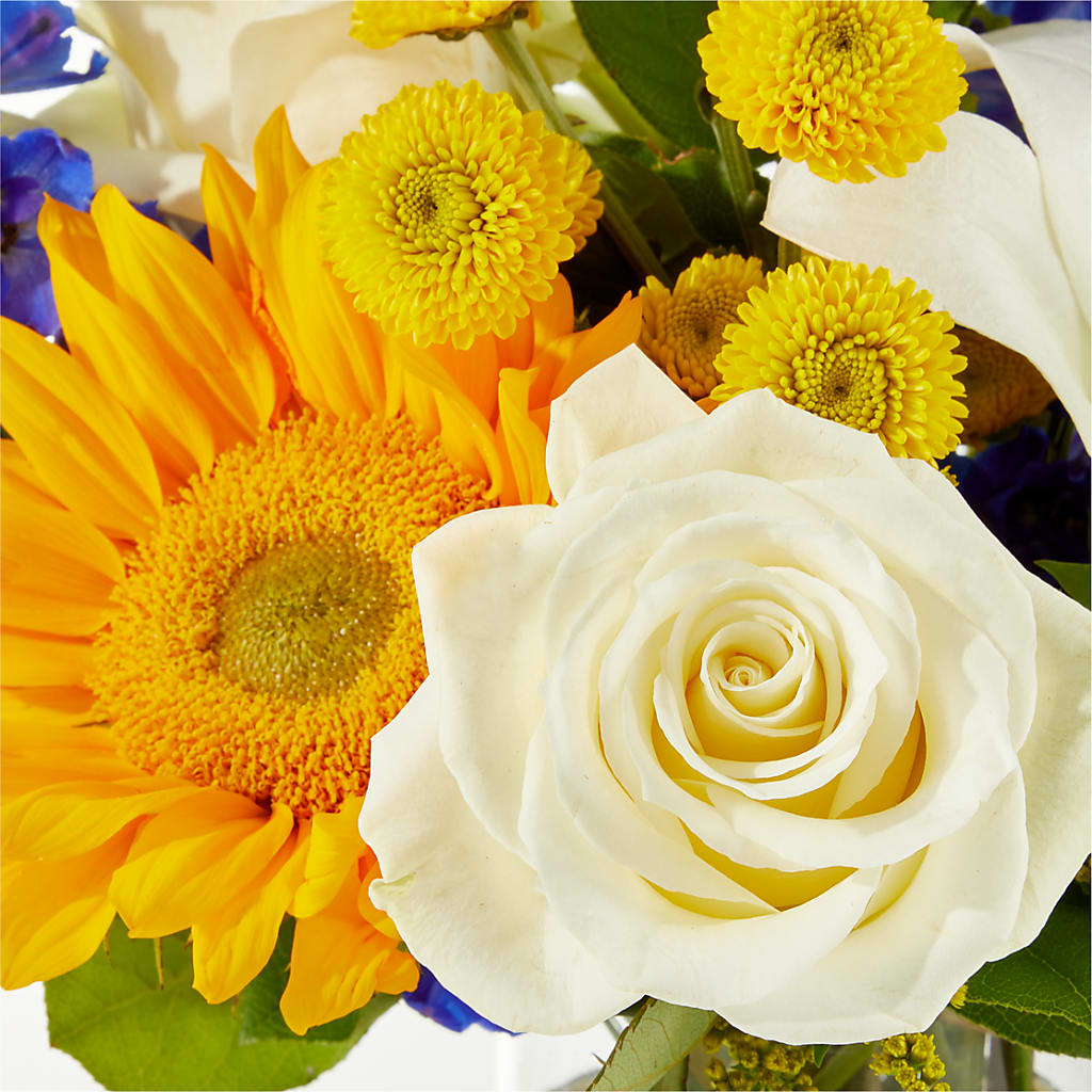 Stargazing Bouquet – CLARKSON FLOWERS & GIFTS, Mississauga ON