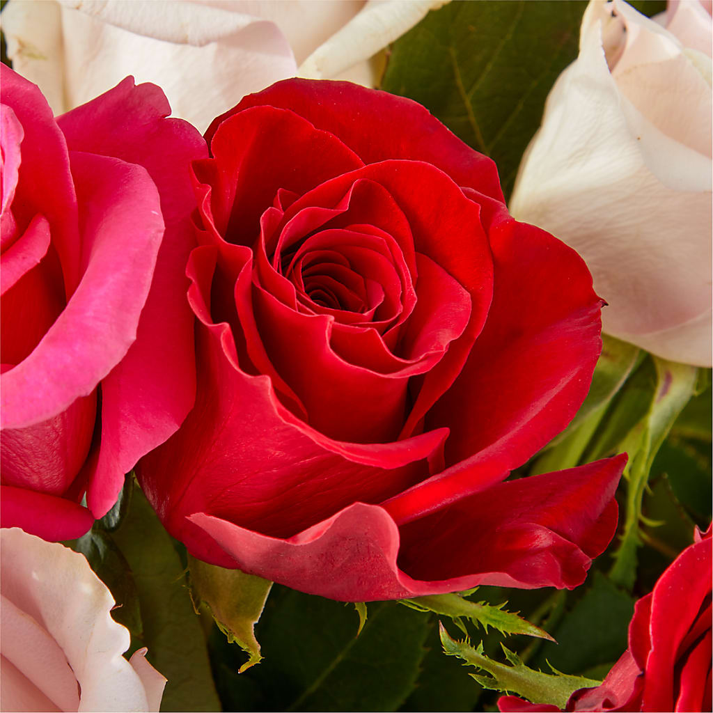 Charming Rose Bouquet – CLARKSON FLOWERS & GIFTS, Mississauga ON