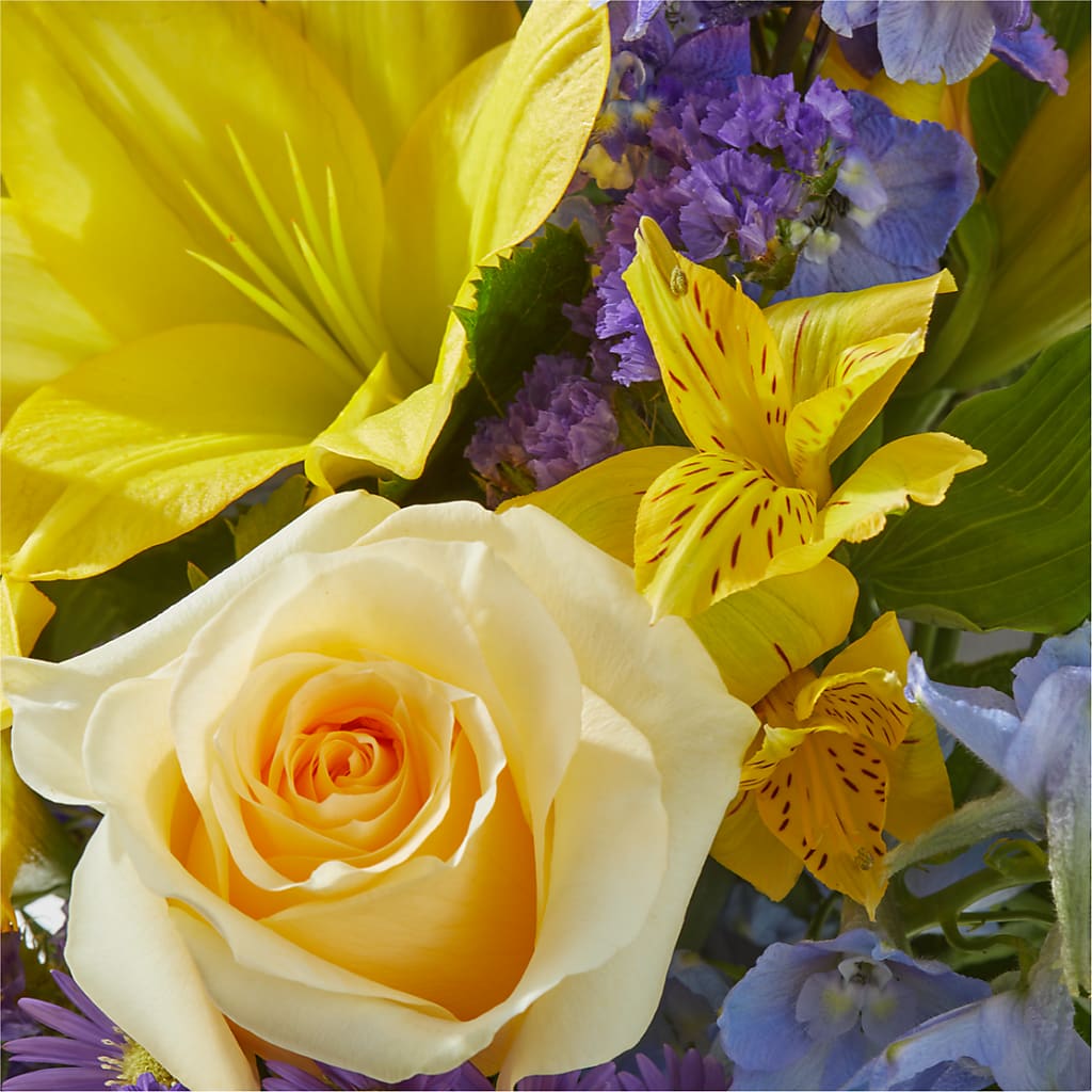 Limoncello Bouquet – CLARKSON FLOWERS & GIFTS, Mississauga ON
