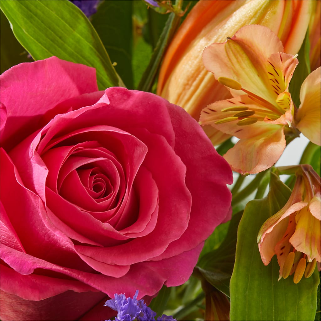 Joyful Bouquet – CLARKSON FLOWERS & GIFTS, Mississauga ON