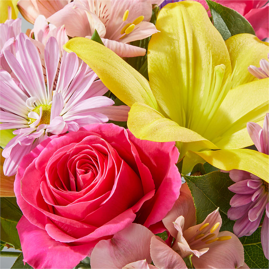 Sprinkles Bouquet – CLARKSON FLOWERS & GIFTS, Mississauga ON
