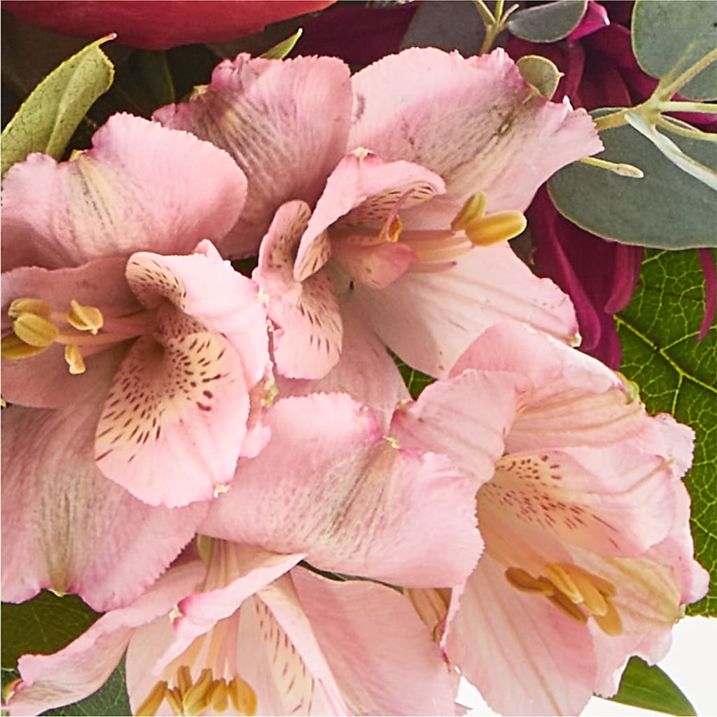 Berry Cobbler Bouquet – CLARKSON FLOWERS & GIFTS, Mississauga ON