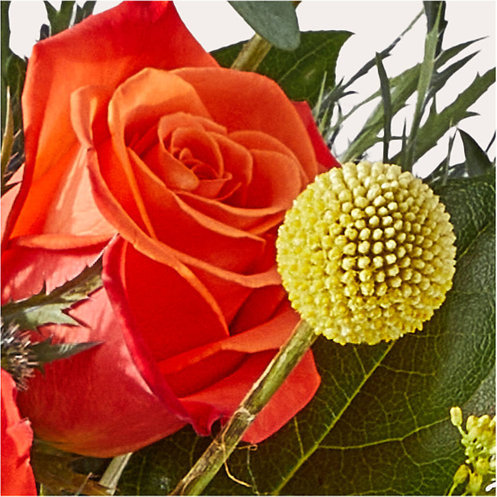 Disco Bouquet – CLARKSON FLOWERS & GIFTS, Mississauga ON