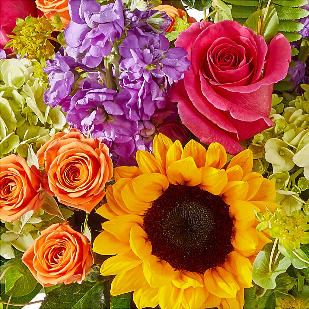 Vibrant Greetings Bouquet – CLARKSON FLOWERS & GIFTS, Mississauga ON