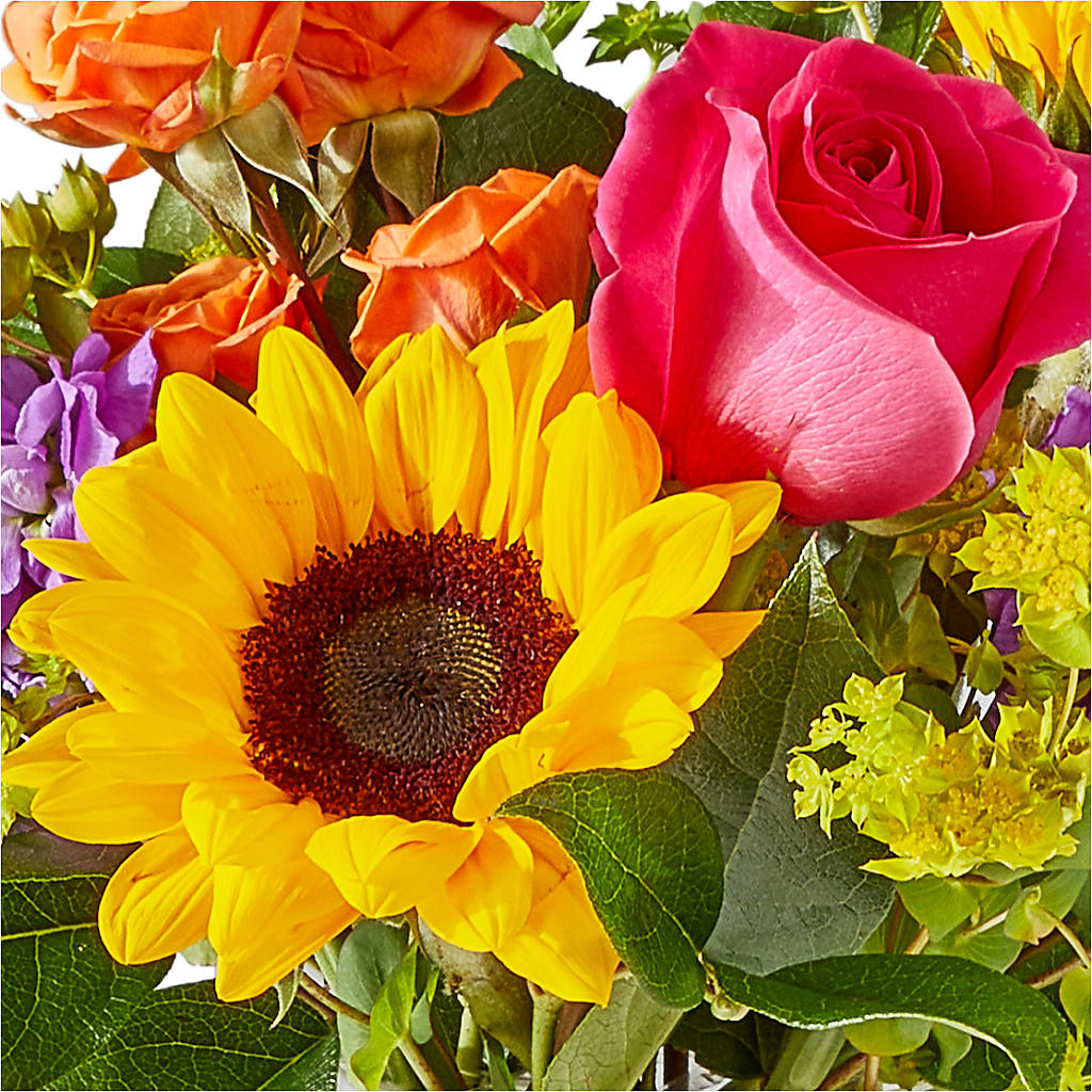 Vibrant Greetings Bouquet – CLARKSON FLOWERS & GIFTS, Mississauga ON