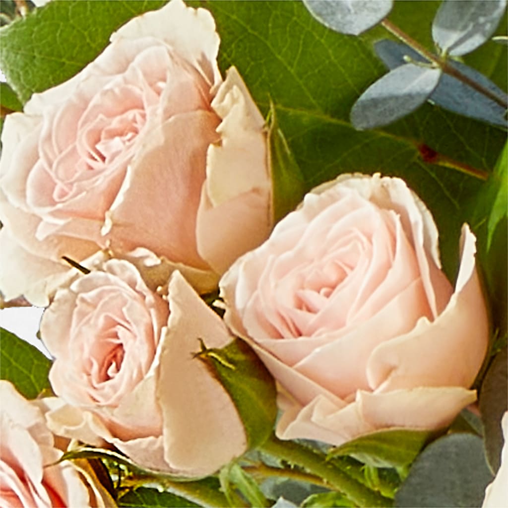 Inspired Bouquet – CLARKSON FLOWERS & GIFTS, Mississauga ON