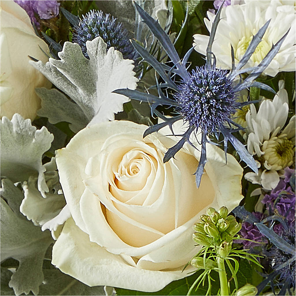 Shooting Star Bouquet – CLARKSON FLOWERS & GIFTS, Mississauga ON
