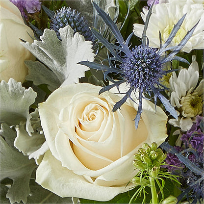 Shooting Star Bouquet – CLARKSON FLOWERS & GIFTS, Mississauga ON