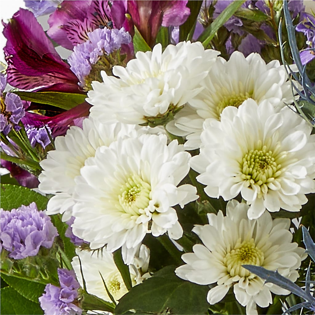 Shooting Star Bouquet – CLARKSON FLOWERS & GIFTS, Mississauga ON