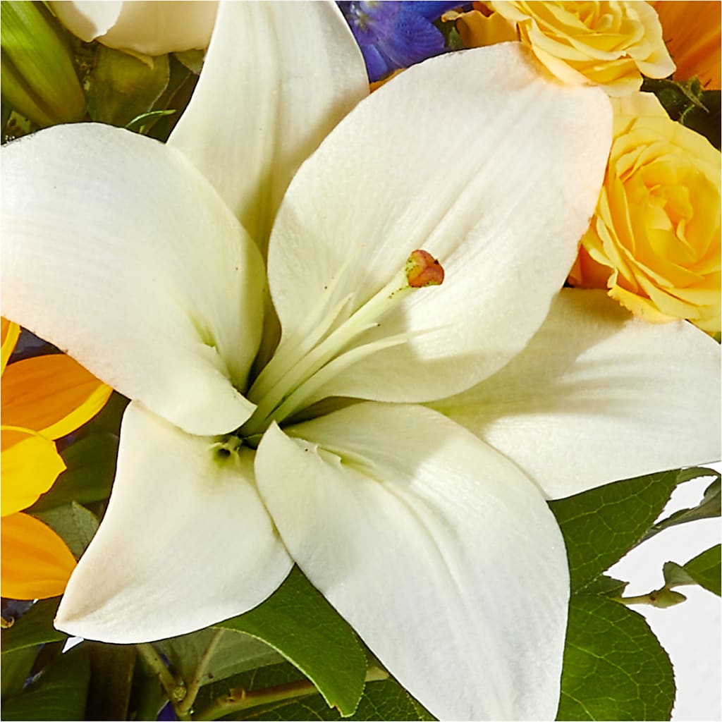 Wonderfully Sunny Bouquet – CLARKSON FLOWERS & GIFTS, Mississauga ON
