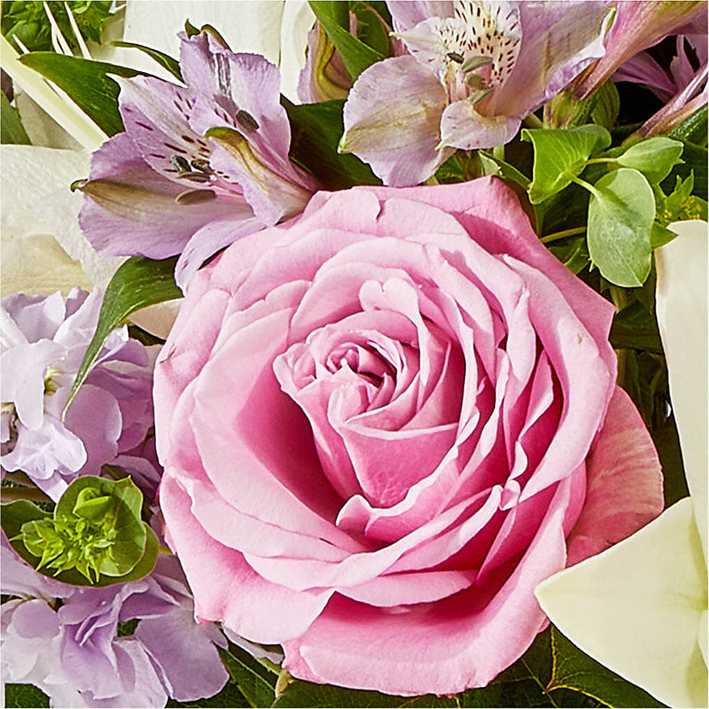 Daydreamer Bouquet – CLARKSON FLOWERS & GIFTS, Mississauga ON