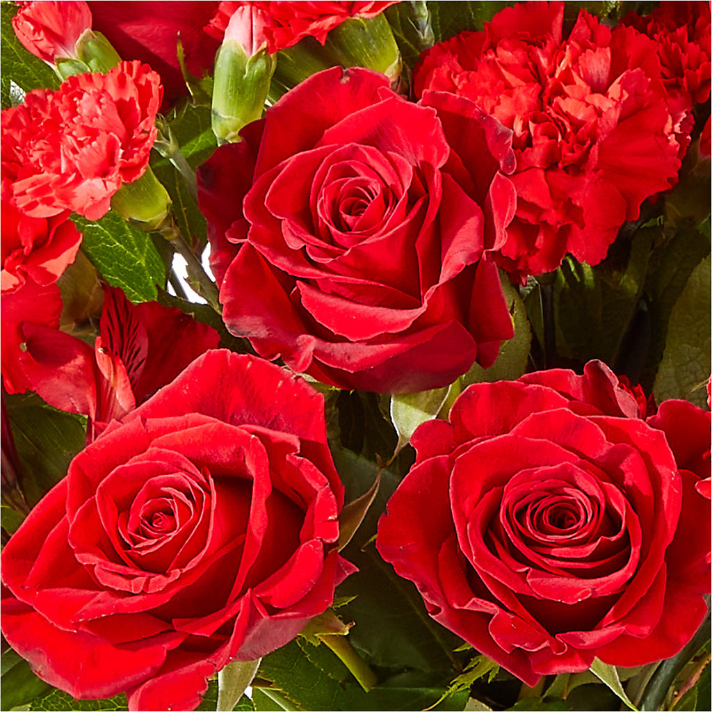 The Heartstrings Bouquet – CLARKSON FLOWERS & GIFTS, Mississauga ON