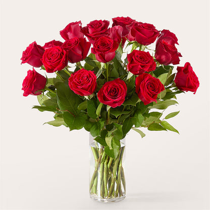 The One Red Rose Bouquet – CLARKSON FLOWERS & GIFTS, Mississauga ON