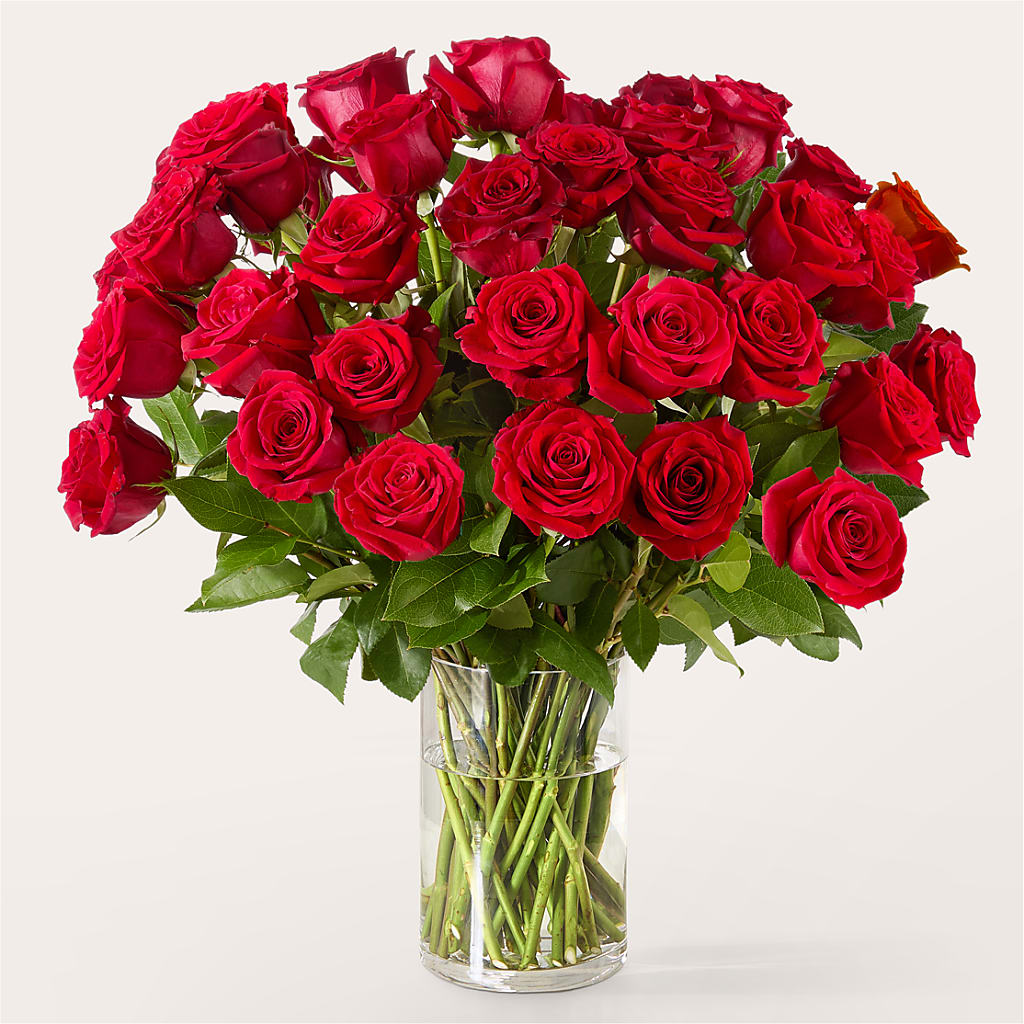 The One Red Rose Bouquet – CLARKSON FLOWERS & GIFTS, Mississauga ON
