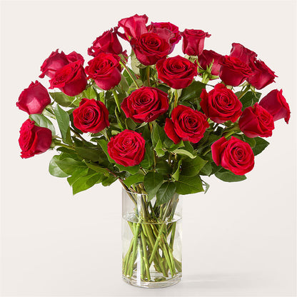 The One Red Rose Bouquet – CLARKSON FLOWERS & GIFTS, Mississauga ON