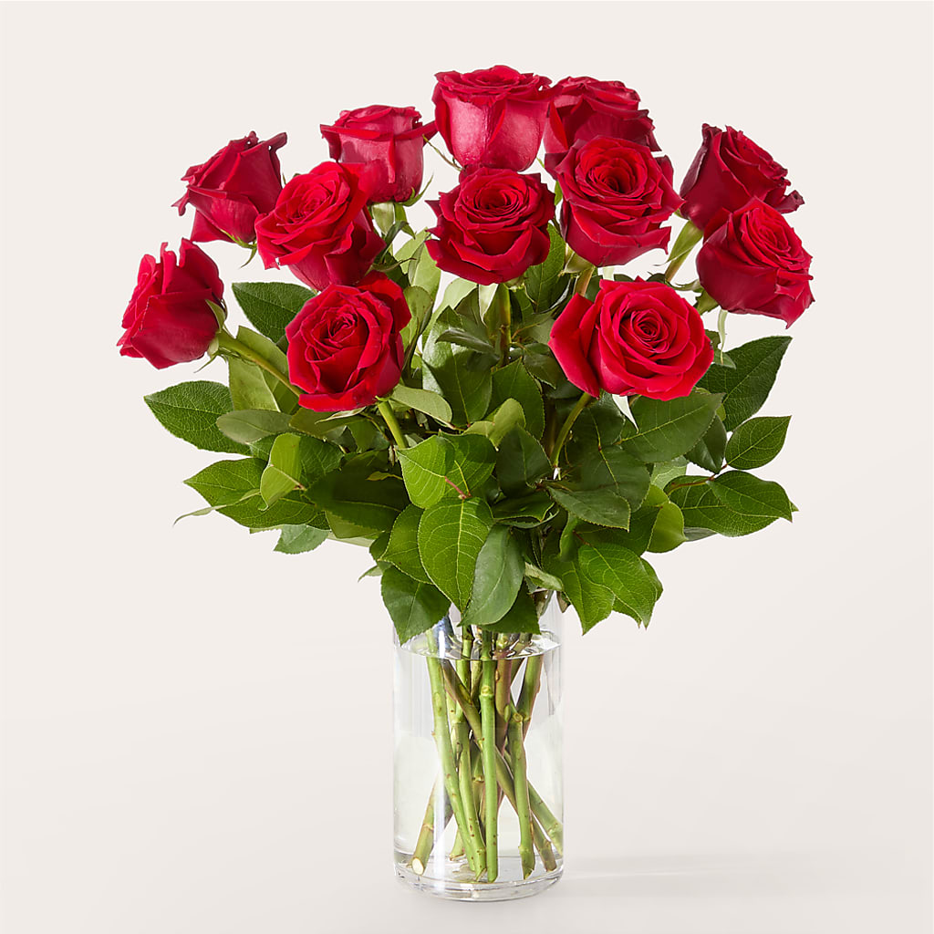 The One Red Rose Bouquet – CLARKSON FLOWERS & GIFTS, Mississauga ON