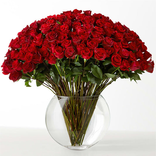 The Idealist – CLARKSON FLOWERS & GIFTS, Mississauga ON