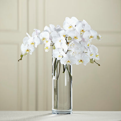 White Phalaenopsis Bouquet – CLARKSON FLOWERS & GIFTS, Mississauga ON